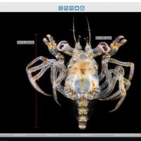Inspectis_Software-08