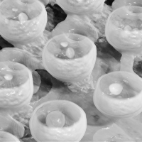 Micro-Bump-Inspektion