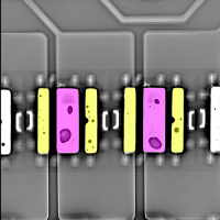 Void-Erkennung an LEDs
